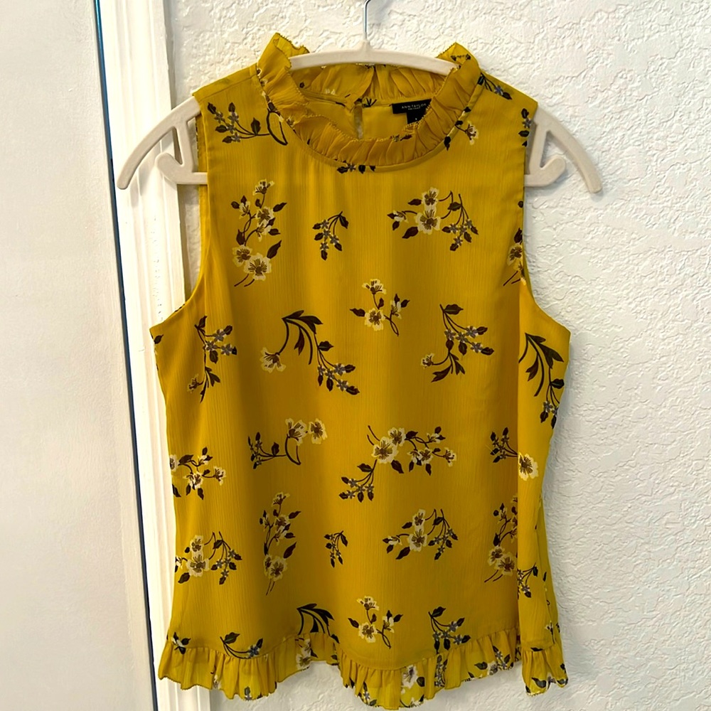 Ann Taylor top